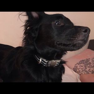 Meet your Posher, Laythan